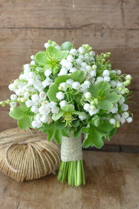 Expensive Wedding, Expensive Flowers, Orchid Seeds, Bonsai Flower, Tiny White Flowers, Lily Of The Valley Flowers, Flowers And Greenery, Valley Flowers, Beautiful Flower Arrangements