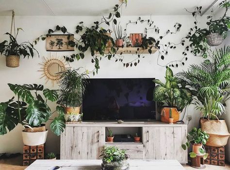 Minimal Plant Decor, Plants Without Sunlight, Indoor Plant Decor Ideas, Indoor Plant Ideas, Living Room Plants Decor, Bathroom Plants Decor, Plant Decor Ideas, Decor Around Tv, Indoor Planting