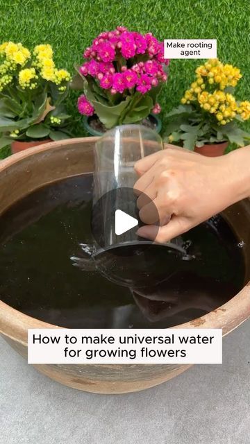 Garden Hacks on Instagram: "Irrigation water helps plants grow well #backyardgardening #gardeninglife #vegetablegardening #vegetablegarden #gardeningtips #gardeninglove #organicgardening #gardensofinstagram #gardenideas #urbangardening #gardeningistherapy #gardeninggoals #homegardening #gardeninspiration #lovegardening #gardeningisfun #countrygarden #veggiegarden #happygardening" Garden Hacks Diy, Garden Remedies, Garden Hacks, Perfect Teeth, Creative Flower Arrangements, Fertilizer For Plants, Cleaning Spray, Fruit Plants, Garden Art Diy