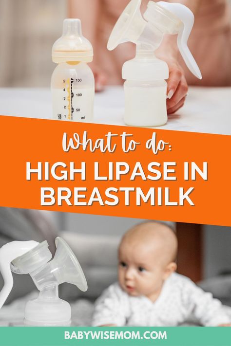 High lipase in breastmilk can lead to baby refusing to drink pumped milk. Find out what is lipase, how do you know if it is high, what causes it to be high, how to prevent it, and what to do about high lipase in breast milk. High Lipase Breastmilk, Fussy Newborn, Pump And Dump, Newborn Schedule, Human Milk, Baby Help, Baby Schedule, Breastmilk Supply, Help Baby Sleep