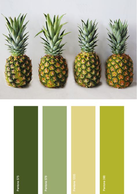 Pineapple Grill, Redesign Ideas, Grilled Pineapple, Palette Design, Color Palette Design, Grad Parties, Grad Party, Color Inspiration, Color Combos