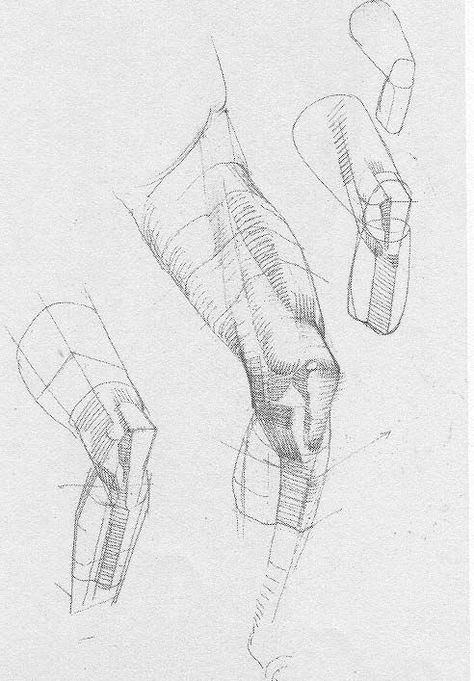 Bammes Gottfried Anatomy, Leg Structure Drawing, Knee Sketch, Knee Anatomy Drawing, Knee Structure, Bammes Anatomy, Knee Drawing, Gottfried Bammes, Drawing Legs