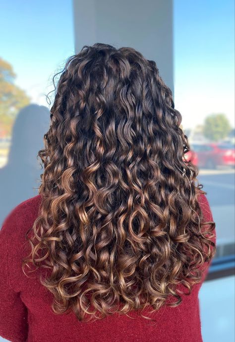 Light Brown Curly Balayage, Highlights For Curly Hair Natural Curls Ombre Dark Brown Black, Rich Brown Curly Hair, Curly Hair Light Brown Highlights, Light Brown Hair With Highlights Curly, Auburn Hair Highlights, Balayage On Light Brown Hair, Curly Auburn Hair, Auburn Hair With Highlights