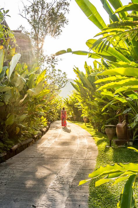 Chill out in Phuket - Hervé Mouyal Photography Treehouse Villas, Sky Resort, Paradise Hotel, Tropical Resort, Doing Nothing, Backyard Retreat, Garden Pathway, Koh Samui, Tropical Style