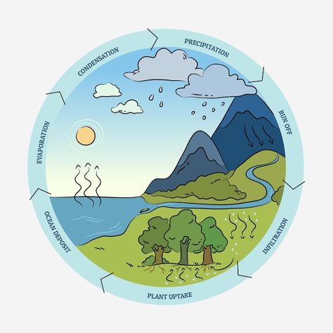 Hand drawn water cycle information | Free Vector #Freepik #freevector #infographic-template #nature-template #flat-infographic #nature-infographic Water Cycle Aesthetic, Water Cycle Drawing Art Projects, Water Cycle Drawing, Nature Infographic, Water Diagram, Water Cycle Process, Flat Infographic, Nature Template, Water Cycle Diagram