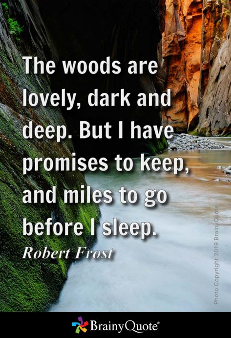 The woods are lovely, dark and deep. But I have promises to keep, and miles to go before I sleep. - Robert Frost Frost Quotes, Robert Frost Quotes, Into The Woods Quotes, Before I Sleep, Miles To Go, Robert Frost, Quote Of The Day, Sleep, Quotes