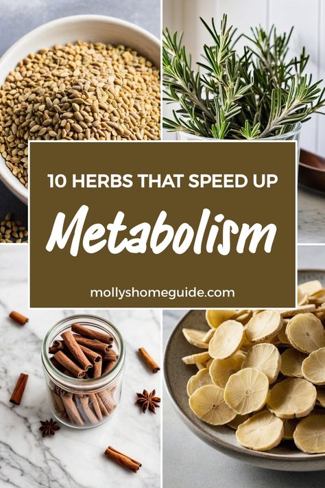 Discover the natural power of herbs and spices for weight loss. Boost your metabolism with these fat-burning spice mixes and improve your weight loss journey. From herbs that speed up metabolism to foods that rev up your metabolic rate, incorporate these metabolism-boosting ingredients into your meals. Speed up weight loss naturally by including herbs like cayenne, ginger, and turmeric in your daily diet. Enhance fat burning processes with the help of natural herbs that can support a healthy met Natural Ways To Boost Metabolism, Losing Weight Herbs, Fast Metabolism Diet Plan, Backyard Homesteading, Ways To Boost Metabolism, Herbal Therapy, Just Spices, Speed Up Metabolism, Fast Metabolism Diet