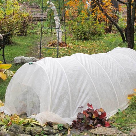 Plant garden tent Fall Crops, Row Covers, Fall Bulbs, Winter Plants, Plant Covers, Cold Frame, Better Homes And Garden, Flowering Shrubs, Fall Plants