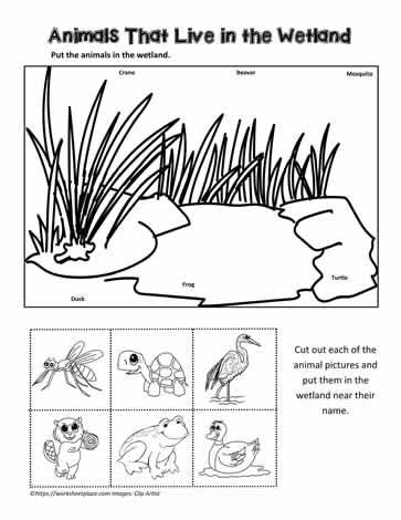 Pond Animals Worksheet Kindergarten Science Journal, Wetlands Activities, Pond Life Theme, Pond Habitat, Habitat Activities, Animals Worksheet, World Wetlands Day, Lake Animals, Pond Animals