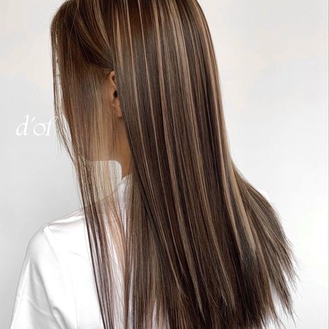 Shine Line Hair, Melir Hair Brown, Korean Highlights, Japanese Hair Color, Straight Hair Highlights, Black Hair Balayage, Brown Hair Looks, Brown Hair Inspo, Brunette Hair With Highlights