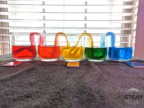 Rainbow Rivers: Unveiling the Science of Capillary Action with Colored Water Bridges – Small Step for STEM Capillary Action, Rainbow River, Stem Experiments, Colored Water, Kid Experiments, Small Step, The Science, Bridge, Science