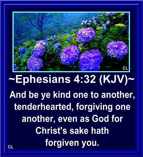 ✝✡Trust in the LORD Jesus-Yeshua  with all thine Heart✡✝ ( Ephesians 4:32 KJV ) “And be ye kind one to another, Tenderhearted, Forgiving one another, even as God for Christ’s sake hath Forgiv… Forgiveness Scriptures, Quick View Bible, Ephesians 4:32, Bible Verse Pictures, King James Bible Verses, Powerful Bible Verses, Word Of Faith, King James Bible, God The Father