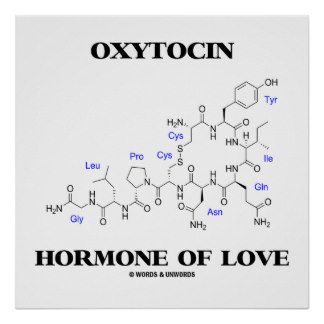 Chemistry Tattoo Ideas, Oxytocin Hormone, Chemistry Love, Physical Science High School, Chemistry Poster, Chemistry Tattoo, Molecule Art, Chemistry Posters, Science Tattoo