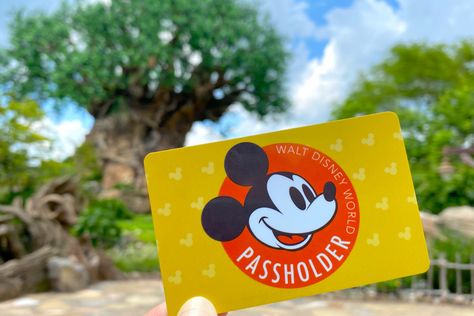 Walt Disney World Resort Annual Pass Sales Temporarily Suspended - WDW News Today Annual Passholder Disney World, Disney Passholder, Disney Annual Passholder, Disney Website, Disney Tickets, Disney World Tickets, Disney Vacation Club, Disney World Parks, Disney Food Blog