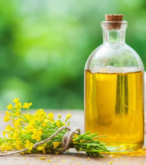 Canola Oil Benefits, Baby Nutrition, Best Cooking Oil, Egg Pictures, Dairy Alternatives, Diet Doctor, Rapeseed Oil, Health Conscious, Healthy Oils