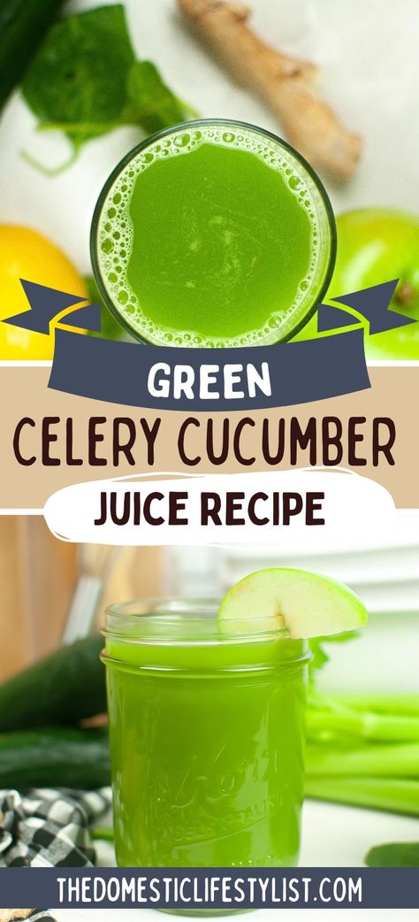 Celery cucumber juice is an invigorating blend that offers a crisp, clean taste with a hint of lemon for a zesty kick. It's the perfect drink for a refreshing detox or a revitalizing pick-me-up.. Celery Cucumber Juice, Cucumber Juice Benefits, Healthy Green Juice, Green Juice Recipe, Juice Benefits, Spinach Juice, Fresh Juices, Cucumber Juice, Green Juice Recipes