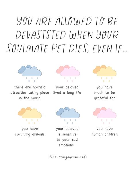 🐾 Have you ever been told that you shouldn’t feel so sad about your pet’s transition because there are worse atrocities in the world? Or that your beloved lived a long life, so be grateful? 💔 These statements, though sometimes well-meaning, are deeply invalidating and insensitive. Your grief is real, and it’s profound. Comparing your pain to other tragedies does nothing to diminish the significance of your loss. 🐶 “You have other animals, be grateful!” While gratitude can be supportive duri... Losing A Pet Quotes, Talk To Me Quotes, Feel Your Feelings, Big Emotions, Speak Your Truth, Phone Quotes, Let Them Be, Pet Remembrance, Be Grateful