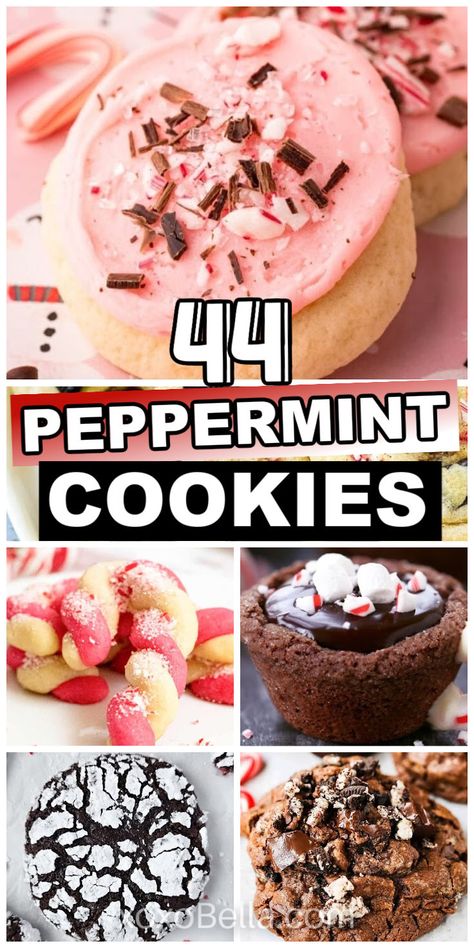 Peppermint cookie recipes Peppermint Cream Cheese Cookies, Chocolate Peppermint Crumble Cookies, Peppermint Extract Cookies, Cookies With Candy Cane Pieces, Chocolate Peppermint Cookies Christmas, Cookies With Peppermint Chips, Cookies With Peppermint Pieces, Peppermint Snowball Cookies, Peppermint Chip Recipes