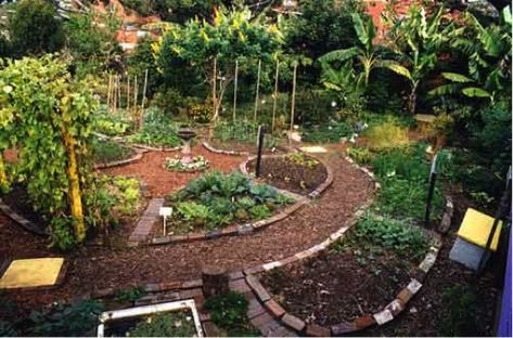 Permaculture Guilds, Food Forest Garden, Eco Garden, Potager Garden, Permaculture Gardening, Permaculture Design, Edible Landscaping, Have Inspiration, Forest Garden