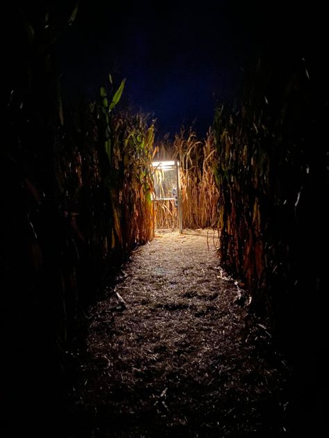 Went to a haunted cornfield and took this picture there. 10/10 rating Halloween Maze Aesthetic, Haunted Corn Field, Scary Cornfield, Scary Corn Maze, Creepy Cornfield, Spooky Cornfield, Corn Field Aesthetic, Cornfield Aesthetic, Aesthetic Places Background