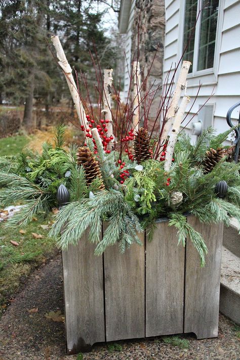 Cabin Landscaping, Winter Displays, Christmas Window Boxes, Winter Window Boxes, Winter Planters, Outdoor Christmas Planters, River Birch, Holiday Planter, Winter Planter