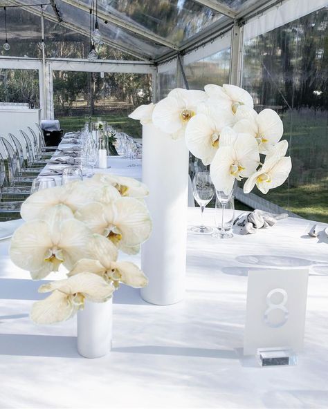 ROSE + BUD on Instagram: “THE TABLE SCAPE All you need is a good phalaenopsis orchid + matte white. Am I right @butcherbakerstylist ?! ☁️” Round Table Centerpieces Wedding, White Orchid Centerpiece, Round Wedding Tables, Wedding Reception Layout, Orchid Centerpieces, White Wedding Theme, Australian Wedding, Orchid Wedding, Reception Centerpieces