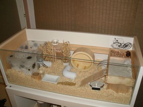 wood naural diy ikea hack Kandang Hamster, Hamster Bin Cage, Hamster Diy Cage, Cool Hamster Cages, Hamster Kawaii, Roborovski Hamster, Gerbil Cages, Mouse Cage, Hamster Diy