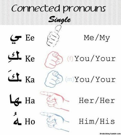 Objective Pronouns, Learning Arabic For Beginners, Tafsir Coran, Arabic Verbs, Spoken Arabic, Learn Arabic Online, Arabic Phrases, Teach Arabic, English Language Learning Grammar