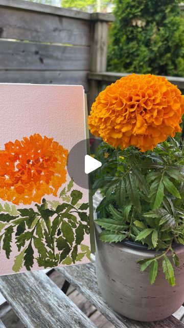 Srimonti Karmakar on Instagram: "Do you think my marigold likes its portrait? :)  Marigolds are one of my favourite flowers, especially this kind with the large flowerhead, and it was very fun to paint it in a loose style for the first time.   #loosewatercolor #watercolorflorals #abstractwatercolor #abstractfloral #beginnerwatercolor #flowerpainting #springflower #watercolorprocess" Marigold Painting, Favourite Flowers, Marigold Flower, Loose Watercolor, Sun Art, Loose Style, Fabric Painting, Abstract Watercolor, Abstract Floral