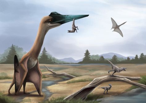 Quetzalcoatlus northropi Quetzalcoatlus Northropi, Mesozoic Era, Dinosaur Age, Succulent Painting, Prehistoric Wildlife, All Dinosaurs, Albino Animals, Prehistoric Art, Paleo Art