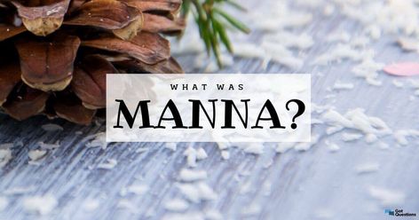 What was manna? | GotQuestions.org Manna From Heaven, The Wilderness, Quick Saves