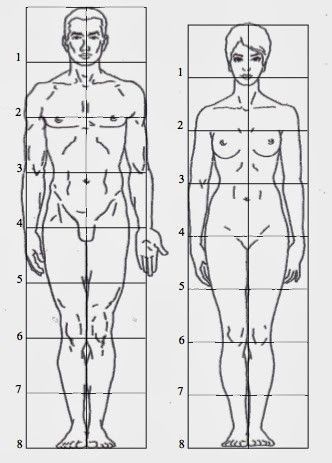 Drawing Body Proportions Human Figures, Human Body Proportion Drawing, Body Proportion Drawing, Human Body Proportions, Human Proportions, Drawing Body Proportions, Human Body Drawing, Human Figure Sketches, Human Body Anatomy