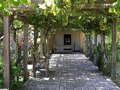 It'd be awesome to  have  a detached  garage and then a  trellis and walkway with grape vines that goes between the two! Grape Vine Trellis, Grape Trellis, Grape Arbor, Vine Trellis, Arbors Trellis, Covered Walkway, Garden Vines, Garden Arbor, Backyard Pergola