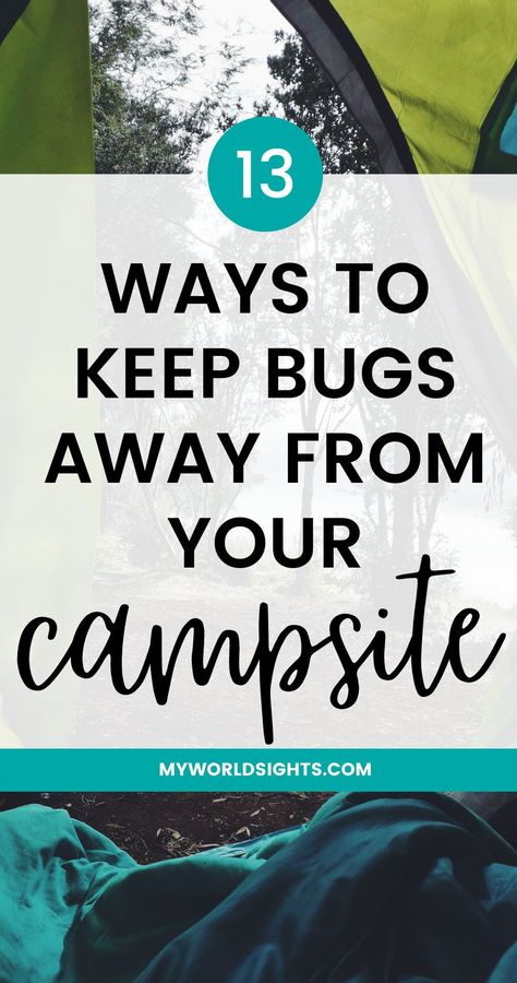 Camping Bug Hacks, Camping Bug Repellent, Camping Mosquito Repellent, Glamping Tips, Repellent Diy, Tent Hacks, Diy Bug Repellent, Ideas For Camping, Bug Off