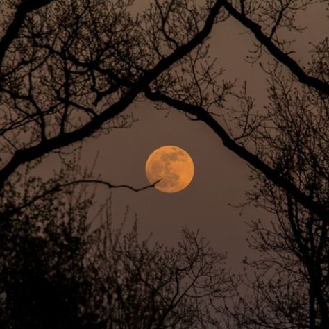 Fall Playlist, Playlist Covers Photos, Moon Icon, The Moon Is Beautiful, Look At The Moon, Dark Autumn, Moon Pictures, Moon Photography, Beautiful Moon