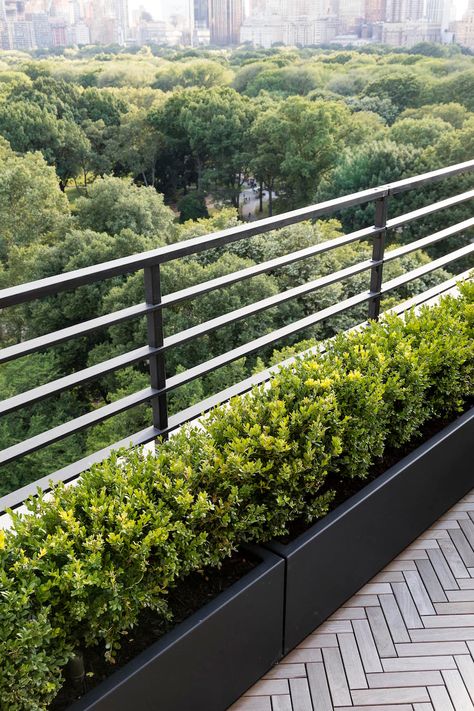 Garden Designer Visit: A Manhattan Terrace with Panoramic Central Park Views - Gardenista Balcony With Plants, Roof Terrace Design, Central Park View, Roof Garden Design, Terrace Garden Design, Balcony Railing Design, Terrace Decor, Rooftop Terrace Design, Rooftop Design