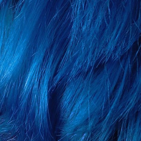 Long Blue Hair Aesthetic, Blue Hair Aesthetic Boy, Jinx Hair Color, Short Blue Hair Aesthetic, Cobalt Blue Hair, Blue Hair Icon, Vibrant Blue Hair, Blue Hair Aesthetic, Coraline Aesthetic