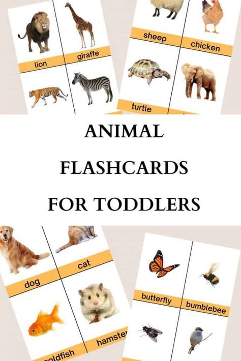 Animal Flashcards For Toddlers FREE Printable PDF - Womanhood And LifeStuff Printable Woodland Animals Free, Animal Flashcards Printable Free, Printable Animal Pictures, Animals Name List, Names Of Animals, Animal Flash Cards, Flashcards For Toddlers, Toddler Pictures, Free Printable Flash Cards