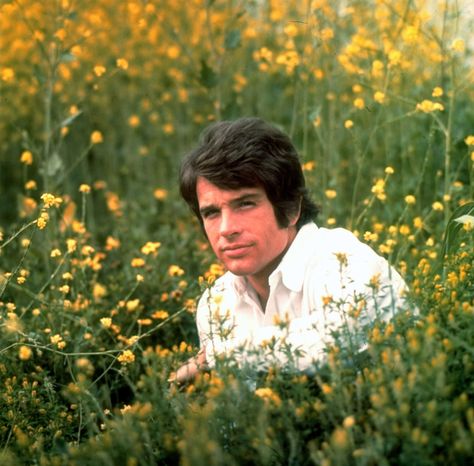 "The radiance of unquestioned virility pours out" when he smiles, LIFE said of the actor in 1967. See the magazine's best photos of him. Young Warren Beatty, Happy 80th Birthday, Warren Beatty, Splendour In The Grass, Field Of Flowers, Bonnie N Clyde, Best Portraits, Time Life, Vintage Life