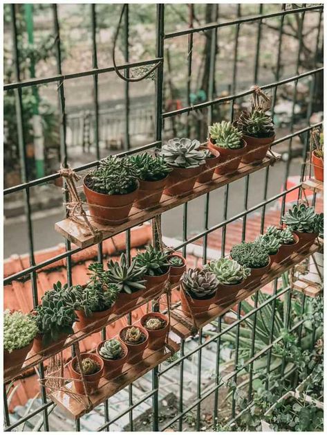 Greenhouse Display Ideas, Greenhouse Display, Green Balcony, Pot Gantung, Design My Room, Pocket Garden, Succulent Display, Diy Balcony, Small Balcony Garden