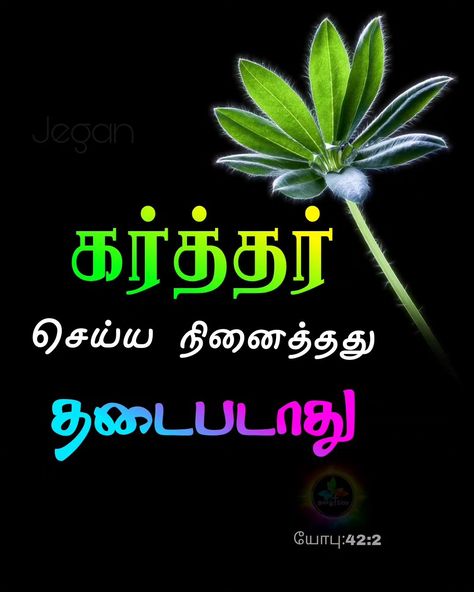 ⭐ TamilBible | யோபு:42:2 ⭐ ✝️ கர்த்தர் செய்ய நினைத்தது தடைபடாது . ✝️ ❤️ Follow 👇 https://whatsapp.com/channel/0029Va4izKQCMY0JLgsQtl1h 💫 Tamil Bible | Tamil Bible Verse | Jegan | BibleKart | தமிழ் வேதாகமம் | tamilbiblewords | Tamil Bible 🙏 #tamil #bible #tamilbible #jegan #biblequotes #bibleverses #Biblekart #trending #Jesus #bibleverse #jesuslovesyou #gospel #god #tamilbibleverse Tamil Bible Verses Images, Bible Verse In Tamil, Bible Tamil, Infant Jesus, Bible Words Images, Tamil Bible, Quotes Prayer, Bible Quotes Prayer, Bible Words