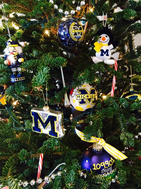 This tree is decked out for the holidays! Michigan Trees, University Michigan, Michigan Christmas, Michigan Go Blue, Michigan M, Maize And Blue, University Of Michigan Wolverines, Holiday Deco, Go Big Blue