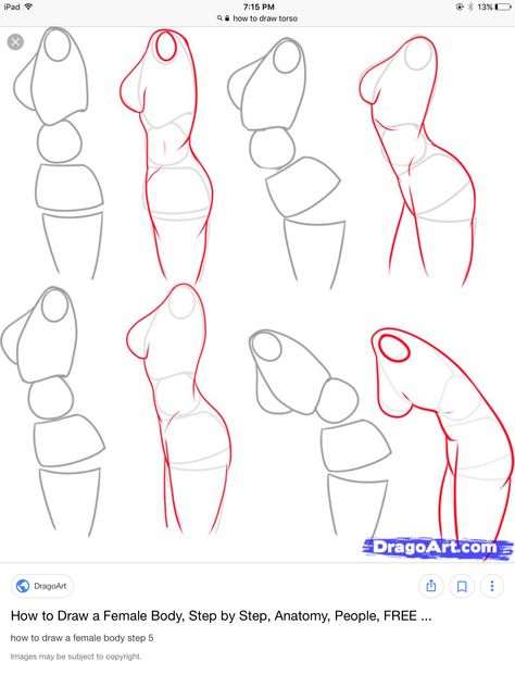 Draw Female Body, Drawing Female Body, Body Drawing Tutorial, Figure Reference, Body Reference Drawing, Sketches Tutorial, Anatomy Drawing, Figure Drawing Reference, Body Drawing