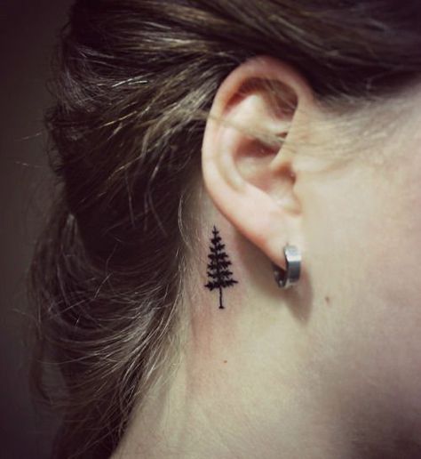 22 Photos of Mystical Pine Tree Tattoos                                                                                                                                                                                 More Tree Tattoo Behind Ear, Evergreen Tree Tattoo, Ear Ideas, Behind Ear Tattoos, Tattoo Behind Ear, Tiny Tattoos For Women, Tattoo Tree, Pine Tree Tattoo, Tree Tattoo Designs