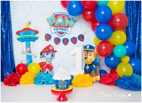 Paw Patrol Photo Shoot Ideas, Paw Patrol Cake Smash, Smurfs Party Decorations, Skye Paw Patrol Cake, Paw Patrol Skye Birthday, Family Portrait Studio, Unicorn Cake Smash, 2nd Birthday Pictures, Lion King Birthday Party Ideas