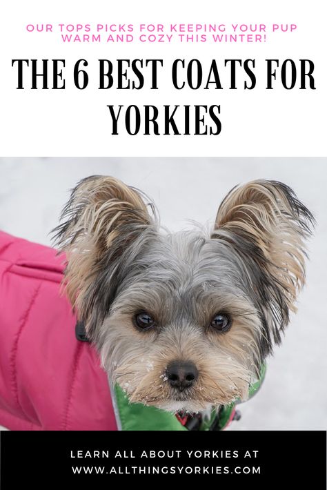 Miki Dog, Yorkshire Terrier Grooming, Dog Jacket Patterns, Yorkie Clothes, Dog Jackets, Small Dog Coats, Fleece Dog Coat, Puppy Coats, Dog Clothes Diy