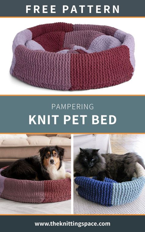 PAMPERING KNIT PET BED [FREE KNITTING PATTERN] Knitted Cat Bed Pattern Free, Knitted Cat Beds Free Pattern, Knit Cat Bed Free Pattern, Pet Knitting Patterns, Knitted Cat Bed, Cat Toys Sewing Pattern, Knitting Patterns For Dogs, Cat Bed Pattern, Summer Knitting Projects