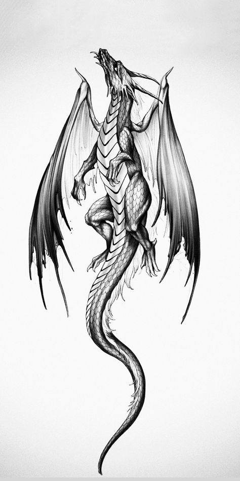 Flash Artwork, Dragon Tattoo Stencil, Dragon Tattoo Drawing, Celtic Dragon Tattoos, Dragon Tattoo Sketch, Dragon Tattoos For Men, Small Dragon Tattoos, Dragon Tattoo Art, Tattoos Infinity