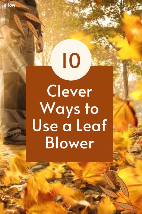 Your leaf blower can do a lot more than you give it credit for. Don't banish it to a dusty corner of the garage until autumn leaves start falling. From blasting old cobwebs to cleaning your car, you might be surprised by how many ways this trusty device can make your life easier through all seasons. Leaf Blower Hacks, Leaf Removal Hacks, Leaf Cleanup Hacks, Leaf Clean Up, Clean Garage, Leaf Blowers, Lawn Tools, Clean Your Car, Bubble Machine