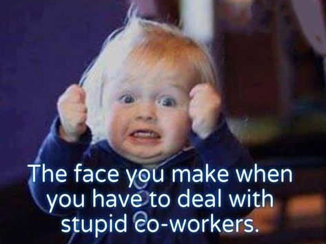 Actually I like my coworkers, the customers do this to me! Funny Work Quotes Office Humor, Work Memes Coworkers, Funny Work Quotes Office, Funny Work Quotes, Funny Work Memes, Humor Hilarious, Funny Work, Office Humor, Co Workers